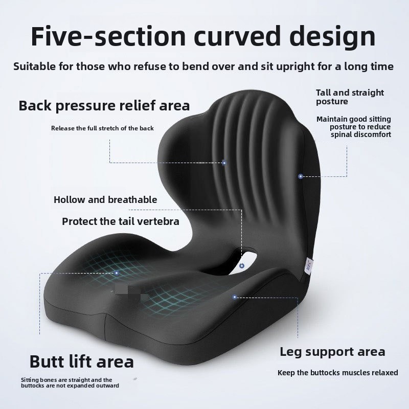 2026 Ergonomic Memory Foam Lum - Posture Corrector Back review and price